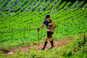 BIB: 2015
                            <button type="button" onclick="openModal(19163710)" class="btn btn-primary btn-sm float-right btn-popup" data-toggle="modal" data-target=".modal-high-quality">
                        <i class="fas fa-shopping-cart"></i> Add to Cart
                    </button>
                                            <button type="button" onclick="isThisMe(19163710, true)" class="btn btn-success btn-sm float-right btn-popup btn-isme hidden" data-toggle="tooltip" data-placement="bottom" title="นี่คือรูปของคุณใช่ไหม คลิกที่นี่เพื่อเอาเข้าอัลบั้ม">
                        <i class="fas fa-plus"></i> Add to album
                    </button>
                    <button type="button" onclick="isThisMe(19163710, false)" class="btn btn-warning btn-sm float-right btn-popup btn-isnotme hidden">
                        <i class="fas fa-ban"></i> Remove from album
                    </button>